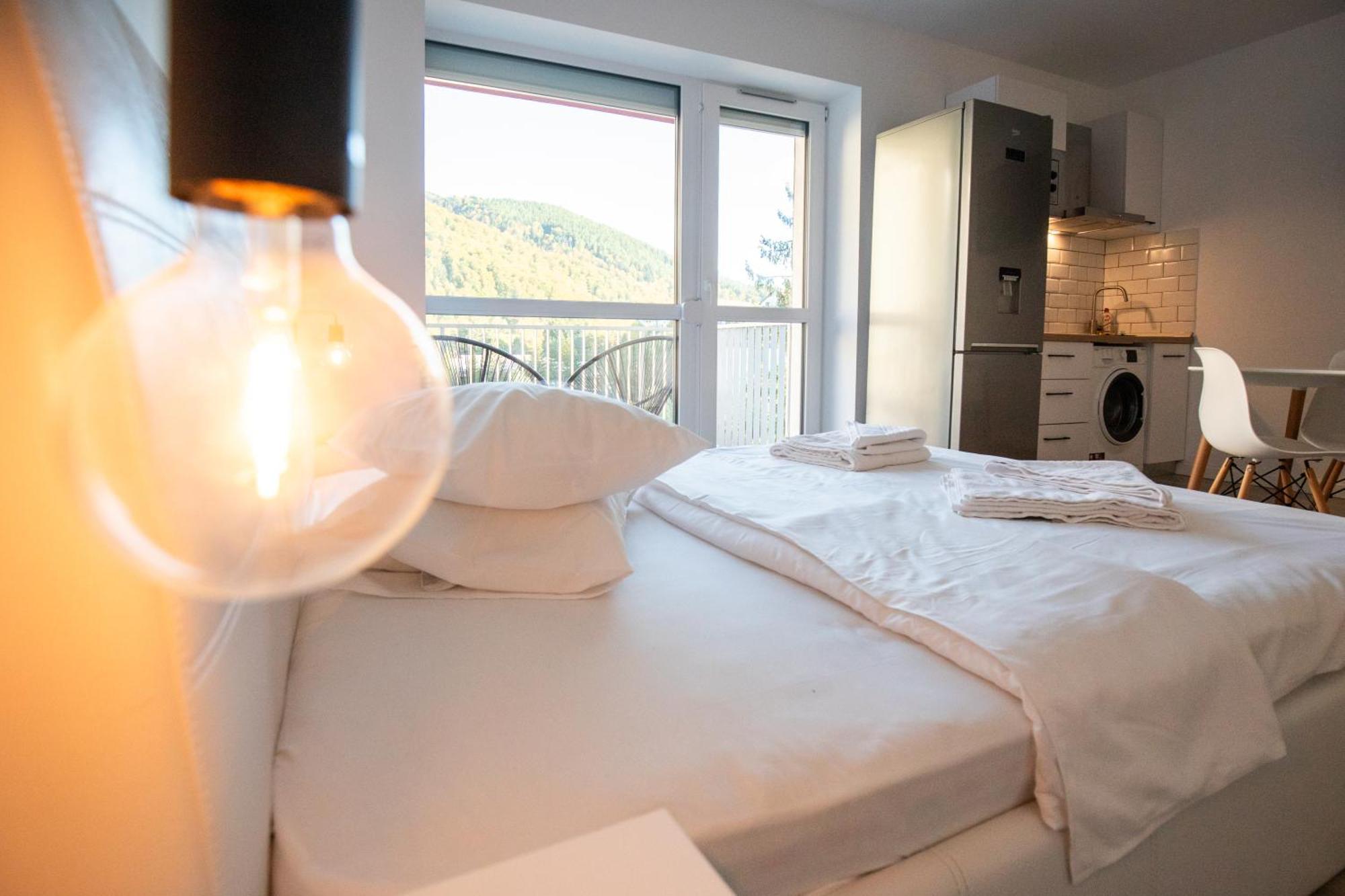 Cozy Studio 4 People With Parking Sinaia Exterior foto